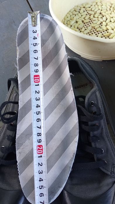 Кеди caterpillar | кеды сat 42