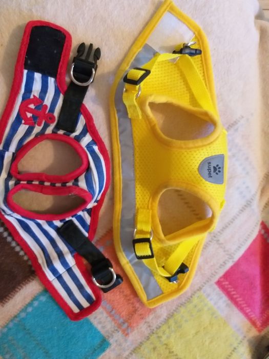 Жилетки, комбенізони речі для собачок і кішок