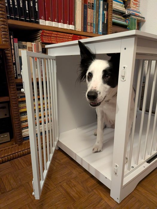 Móvel Crate/jaula para cães