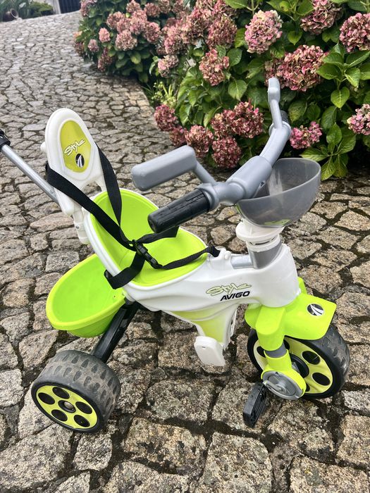 Triciclo evolutivo