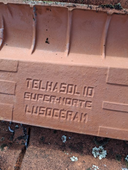 Telhasol10super norte