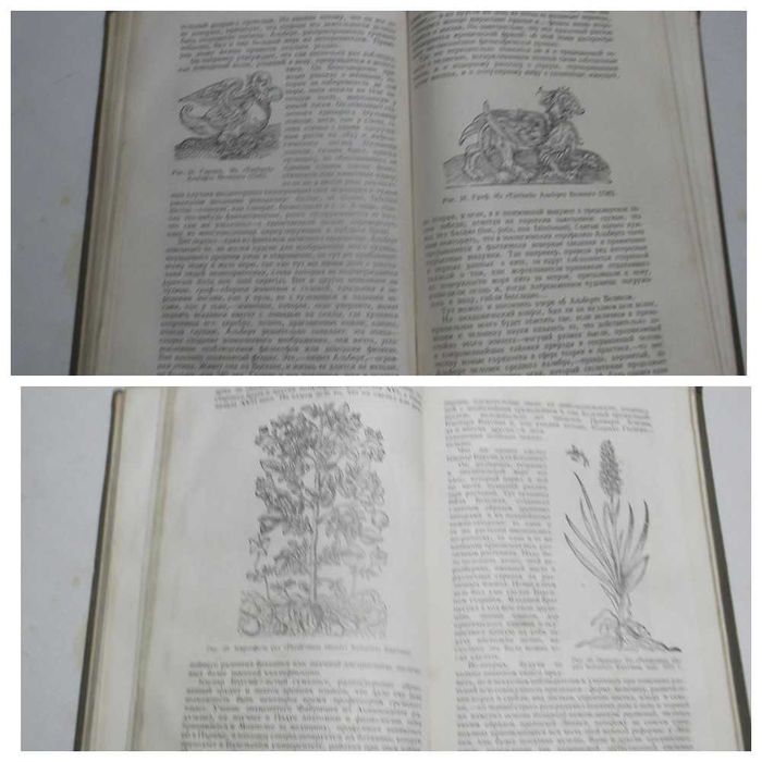 Лункевич. От Гераклита до Дарвина. Том 1. 1936