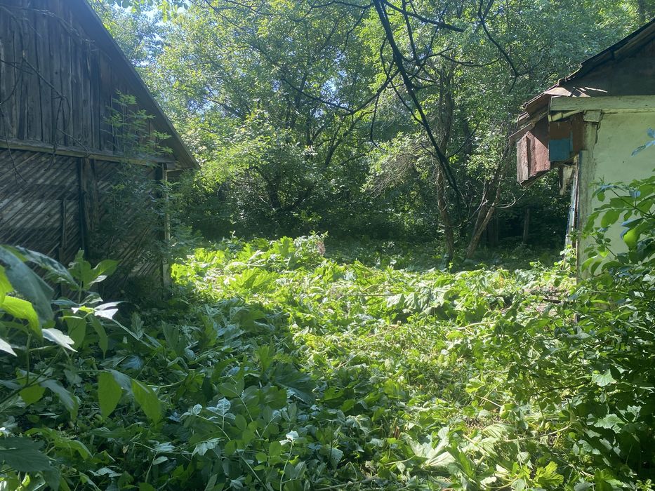 50 соток землі під господарство