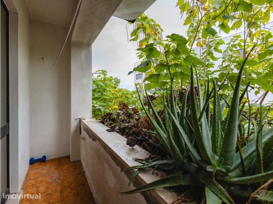 Apartamento T2 - Cantanhede