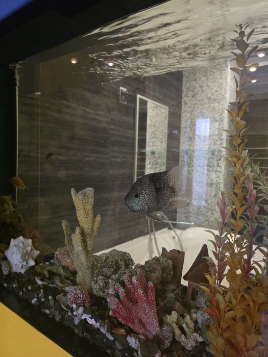 Без%.Краса.ЖК Ліко-Град