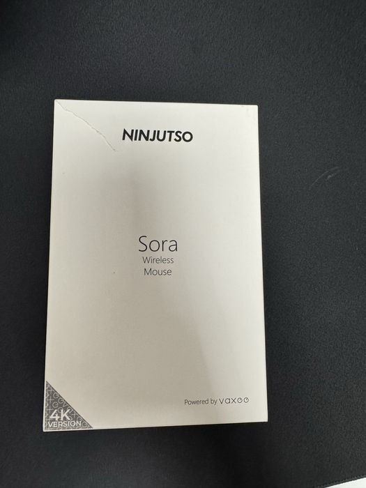 Ninjutso Sora x Vaxee
