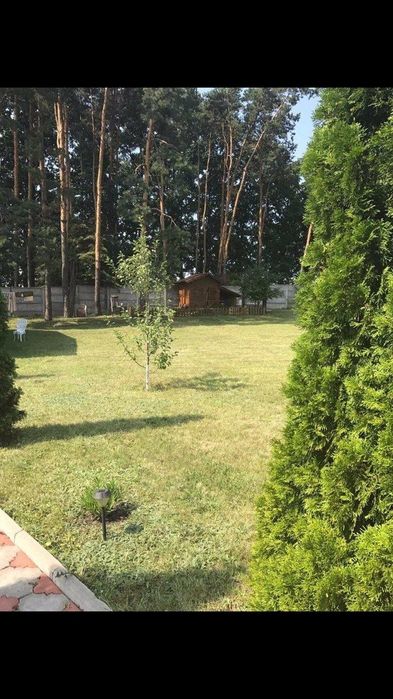 House in Petrushky, Buchanskyy rayon - Вид 2