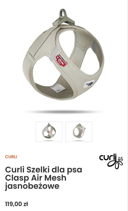 Szelki Curli Chihuahua