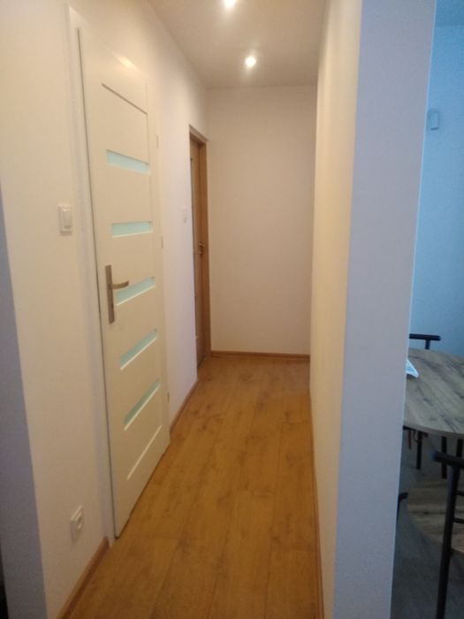 Malowanie ,gipsowanie ,remonty ,panele podłogowe,