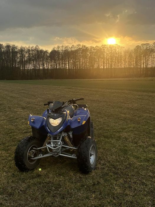Quad polaris phoenix 200