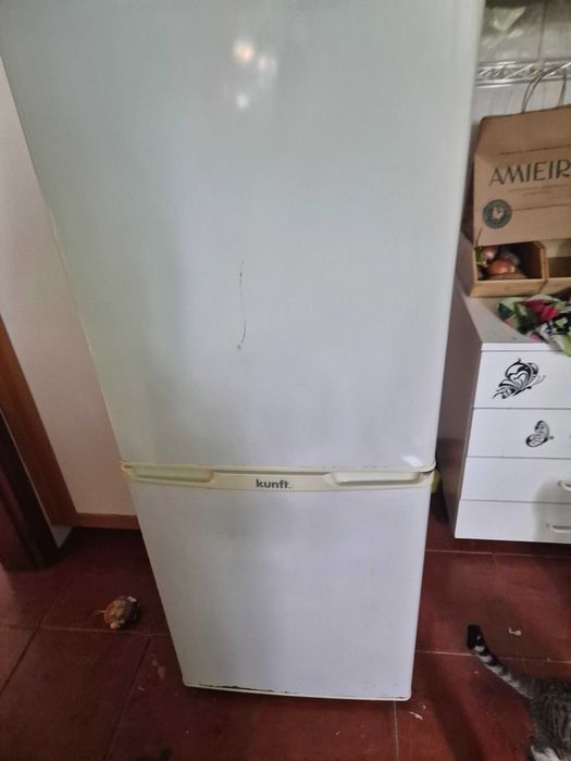 Frigorífico em Excelente Estado – Oportunidade Imperdível!