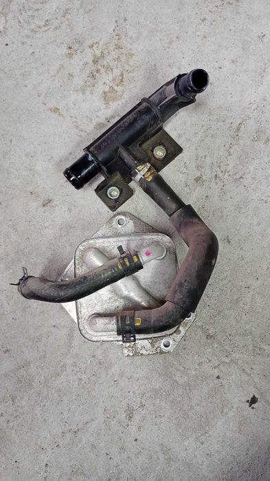 Chłodniczka oleju Mazda 3 BM