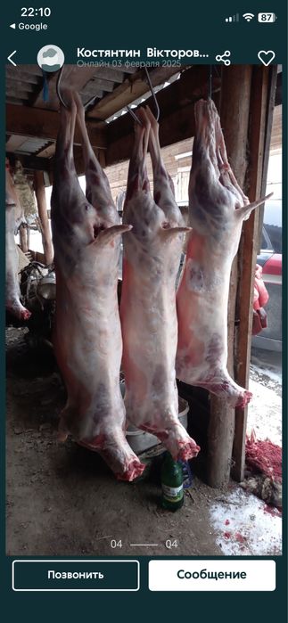 Бараніна тушкой мясо