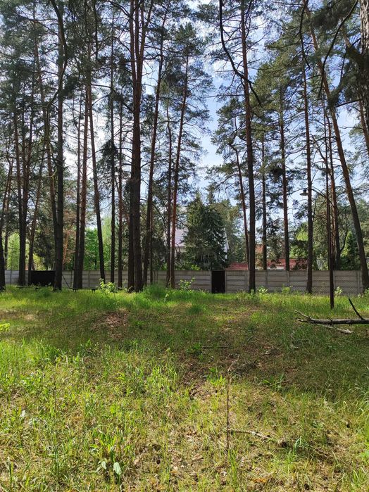 Чернігівська Конча-Заспа-Елітний будинок у сосновому лісі Снов’янка/SZ