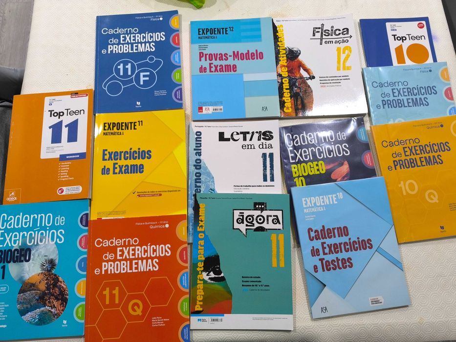 Livros de fichas do 10- 11 e 12 ano
