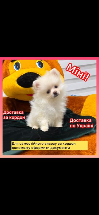 Дуже дуже гарна ! Лялькова міні дівчинка ведмедик !