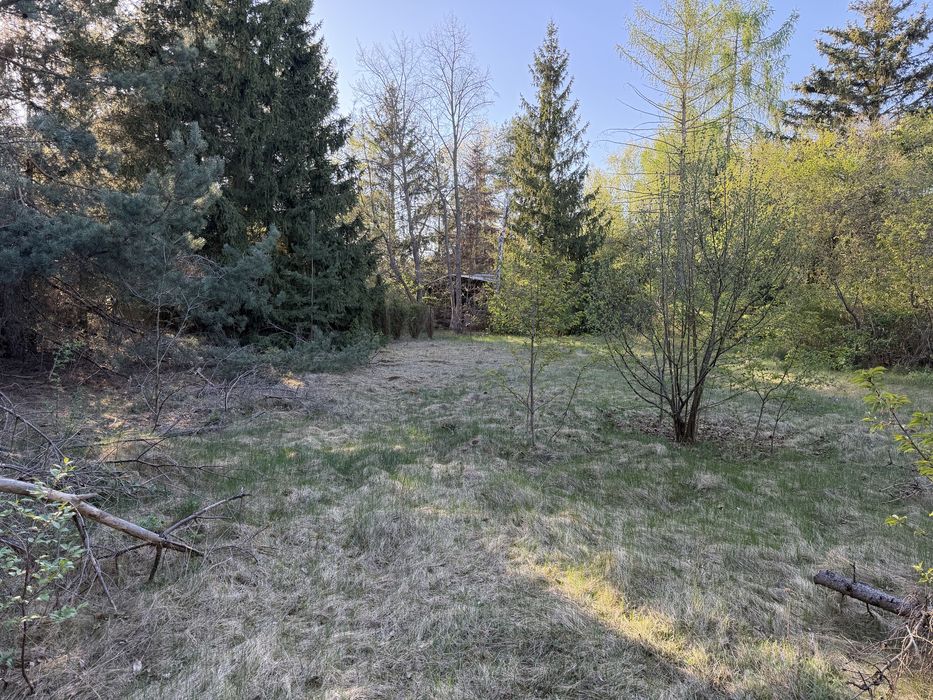 Działka rekreacyjna 914 m² z bezpośrednim dostępem do rzeki Rządzy – Załubice Nowe, okolice Zalewu Zegrzyńskiego - Widok 3