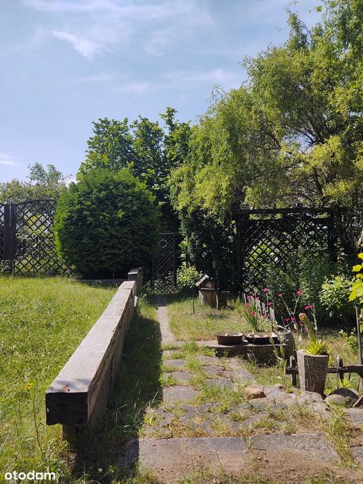 Atrakcyjna i urokliwa działka ROD Gdańsk Jasień Orlik - Widok 4