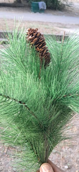 Веточка искусственной ели или ёлка в сборе