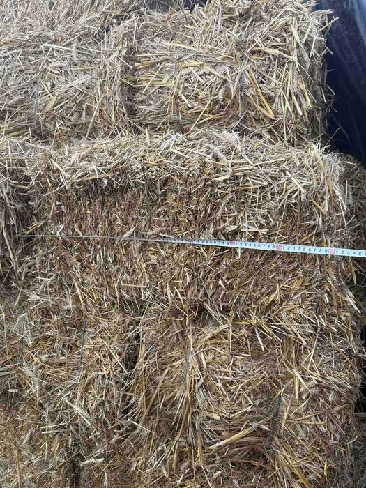 Продам тюки соломи