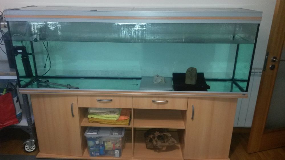 Aquario grande RENA