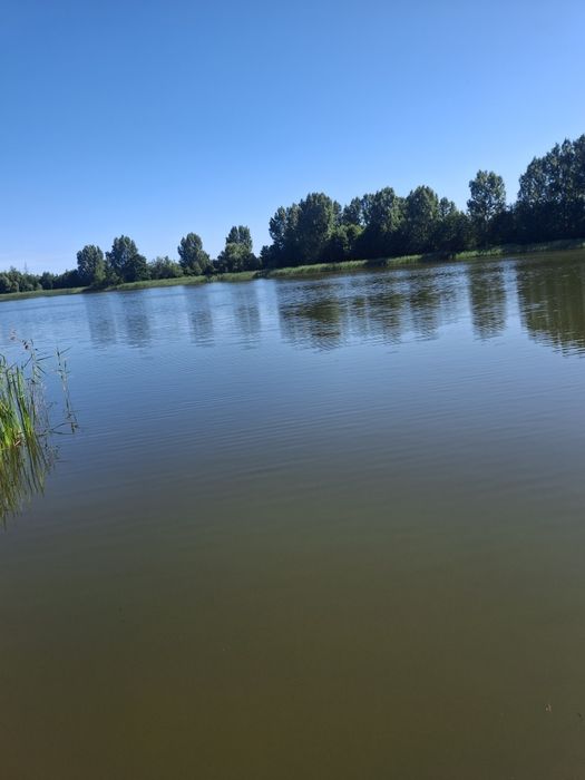 Działka rekreacyjna do wynajęcia