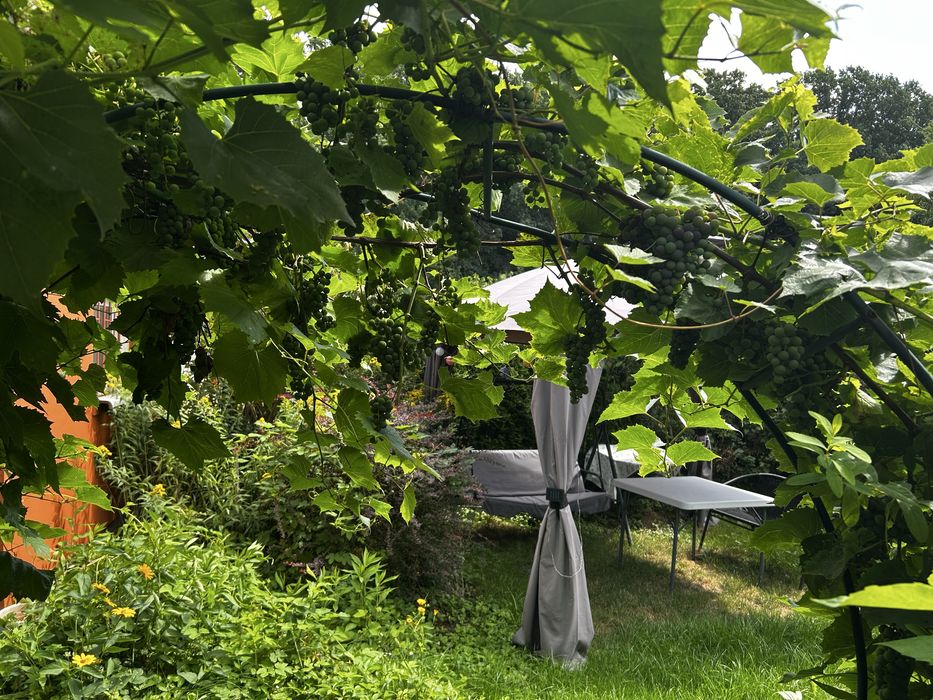 Sprzedam działkę ROD 1 maja - lewa strona 500 m² - Widok 2