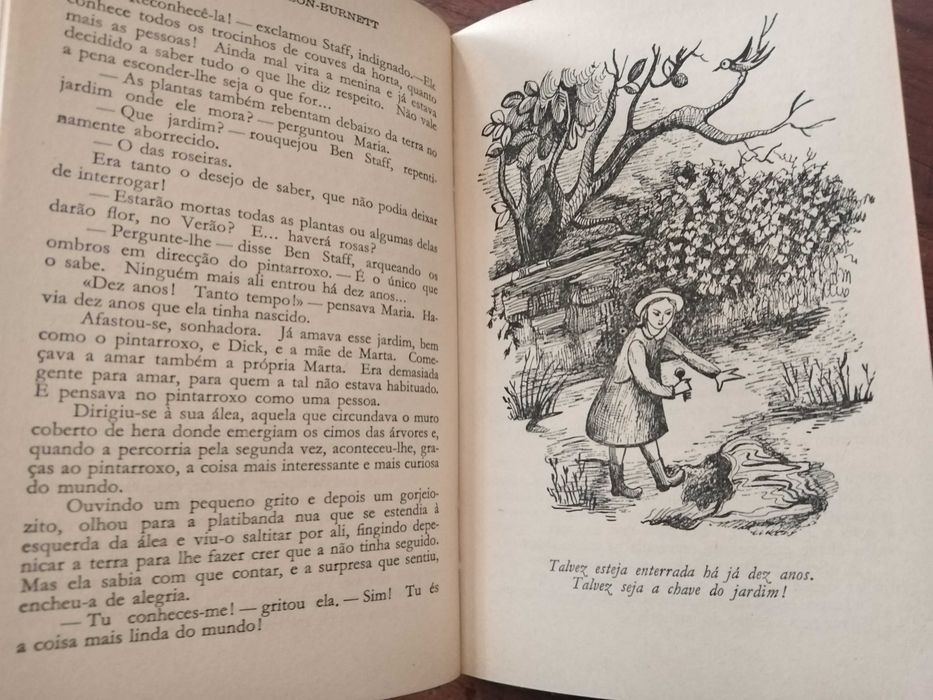 Frances Burnett - O jardim misterioso