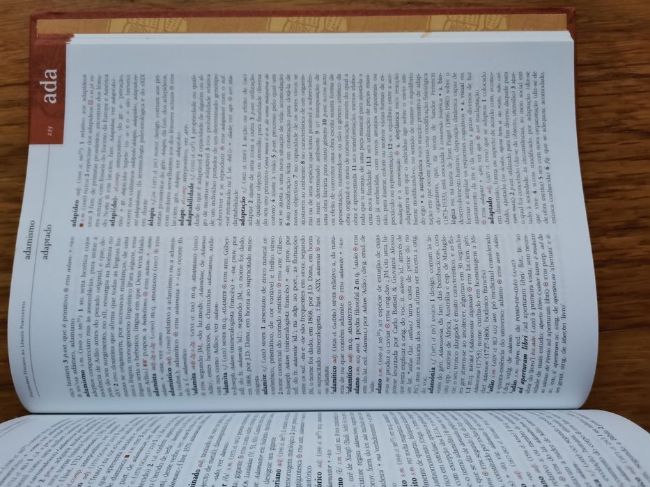 Dicionário Houaiss da língua portuguesa