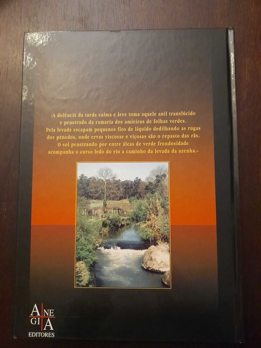 Livro "Paredes- Jóia do Sousa "