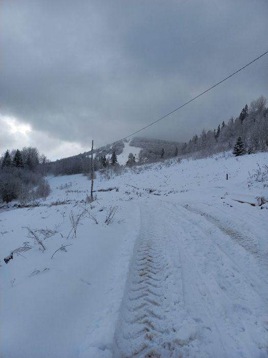 Продається земельна ділянка для ведення садівництва