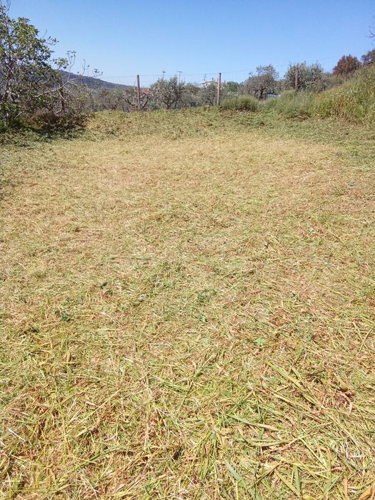 Limpeza de terrenos agrícolas.