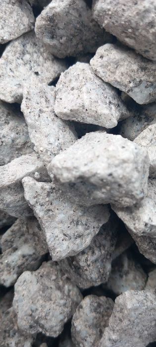 Grys Dalmatyńczyk kamienie ozdobne do ogrodu