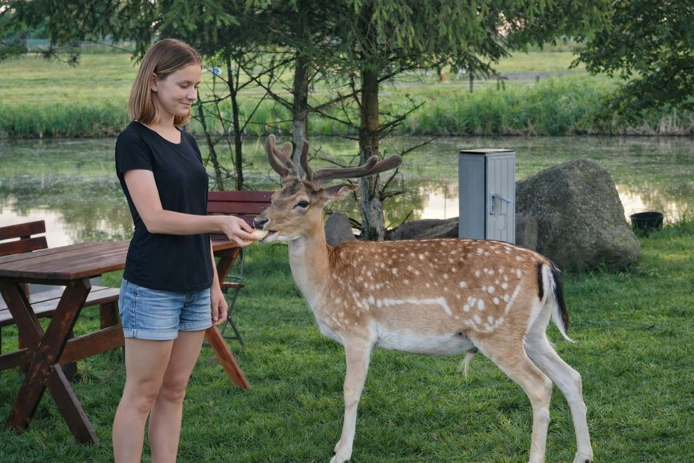 Domek Letniskowy Mazury- Łowisko Muławki (WOLNE TERMINY)