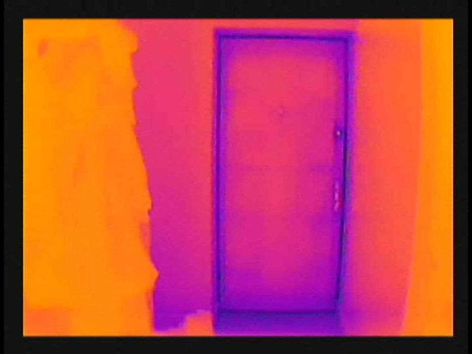 Тепловізор 256х192 з кастомним ПЗ