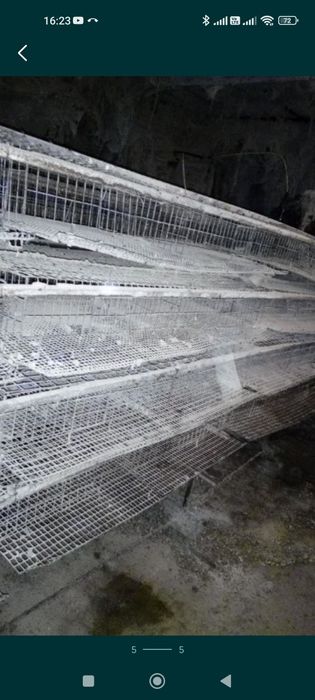 Клітка для перепелів на 40шт в наявності 290шт
