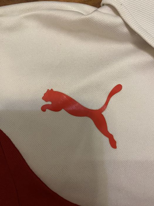 Футболка Puma fc Essen