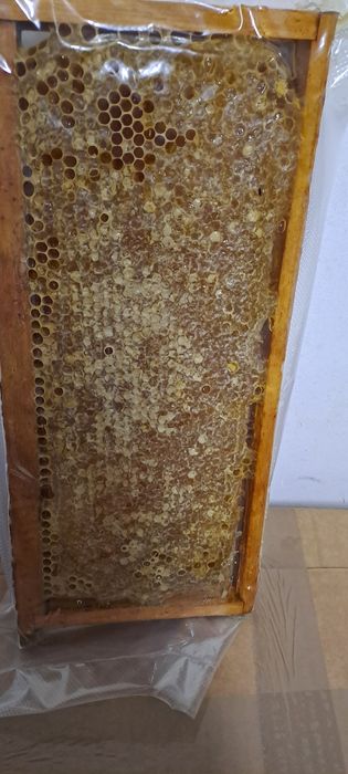 Favos de mel a granel