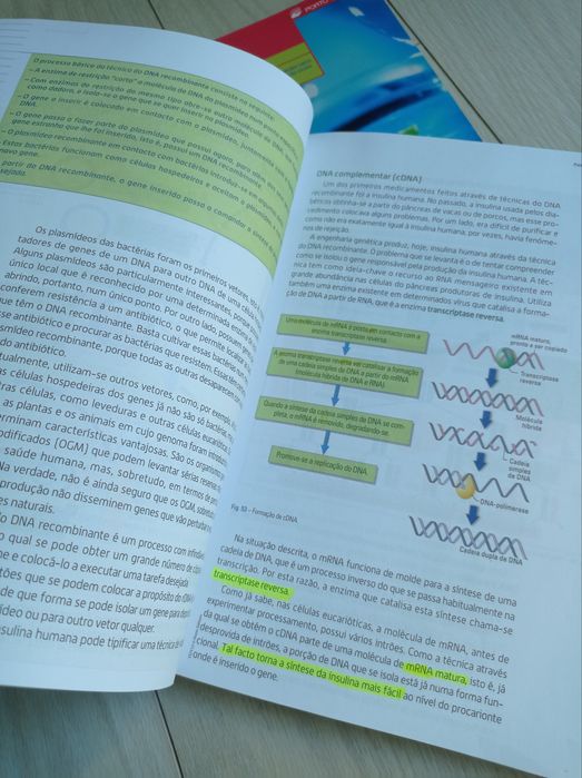 Manual Biologia 12* ano Porto Editora