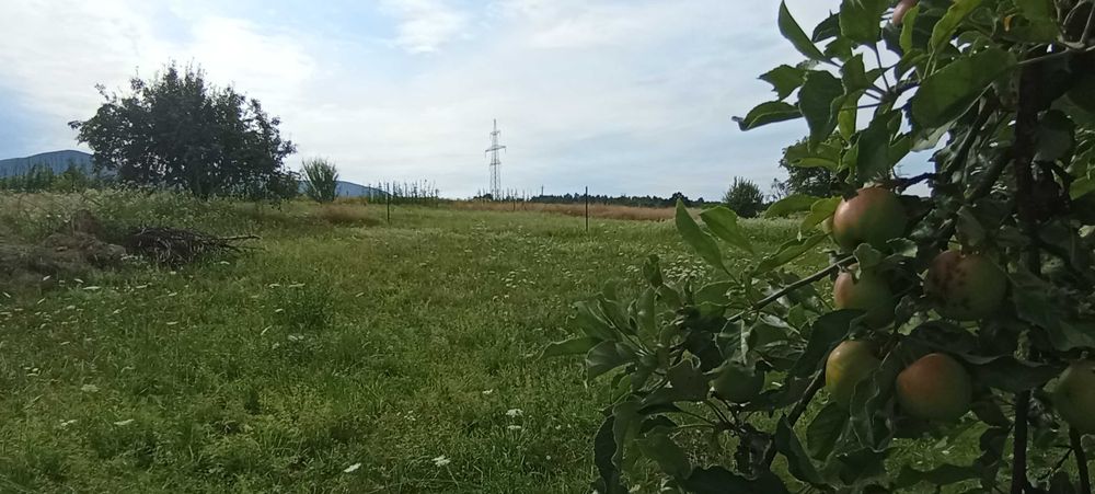 Ціну змінено. Продаємо будинок село Солочин з чудовим видом на К