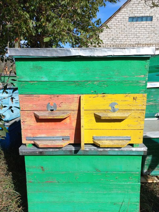 Продам 20-рамочні  вулики з магазиною надставкою на 145 рамку.