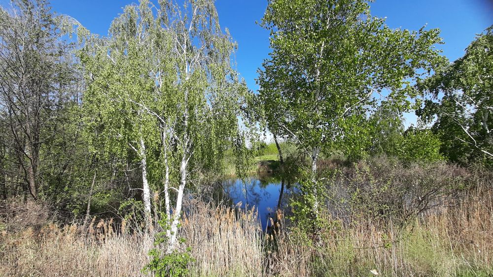 Продам земельну ділянку з виходом на Дніпро