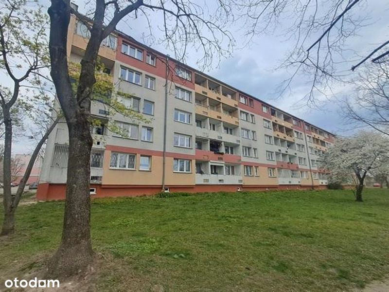 Mieszkanie - 3 pokoje, 52,35 m2, ul. Tyrmanda