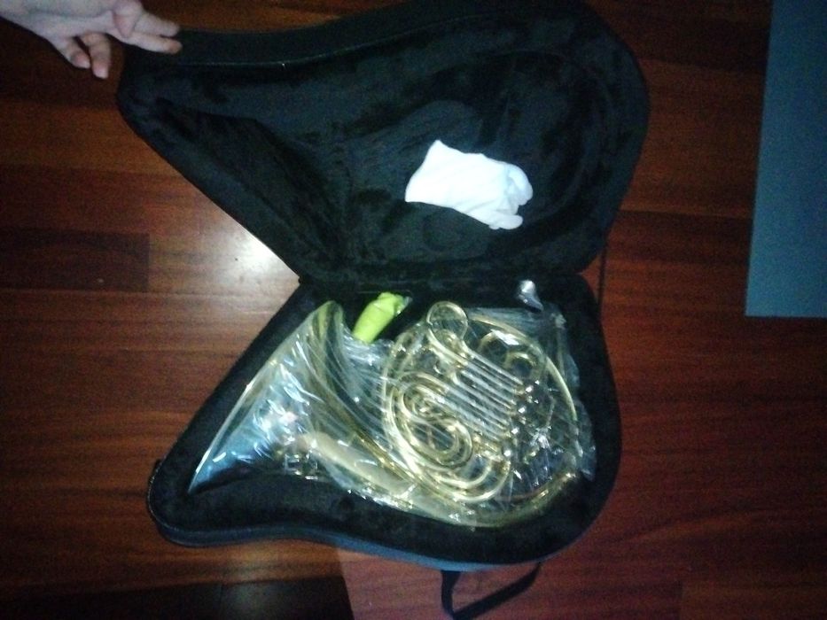 New Double Horn64297746929282123