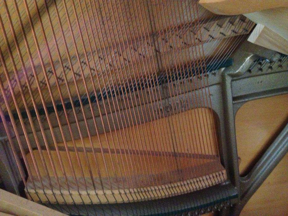pianino fuchs & mohr