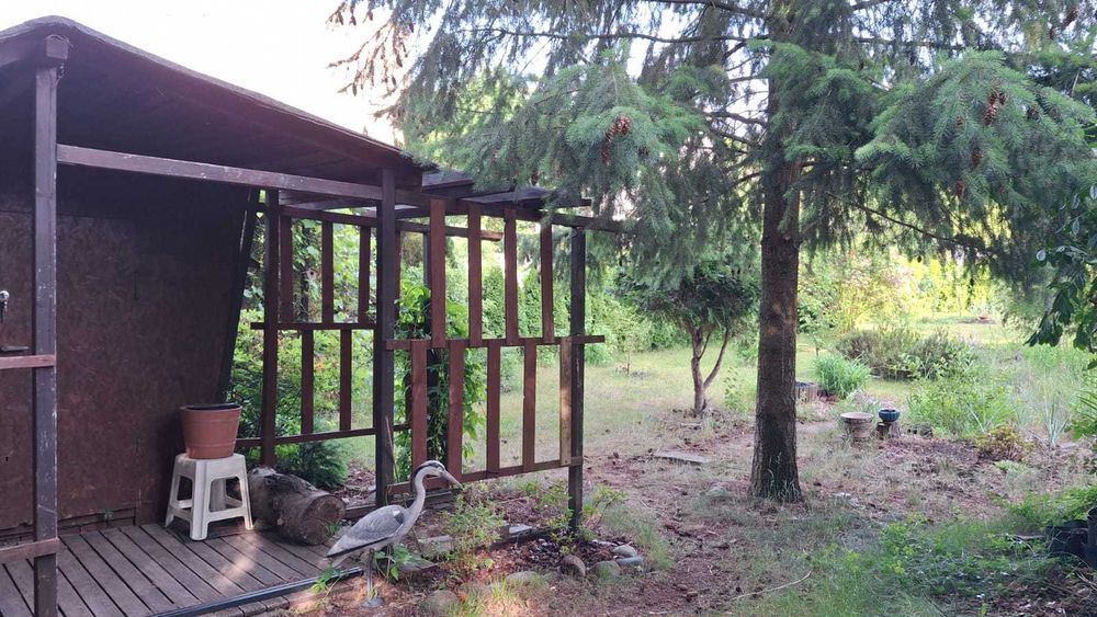 Działka ROD Poranek Zielona Góra - Więcej