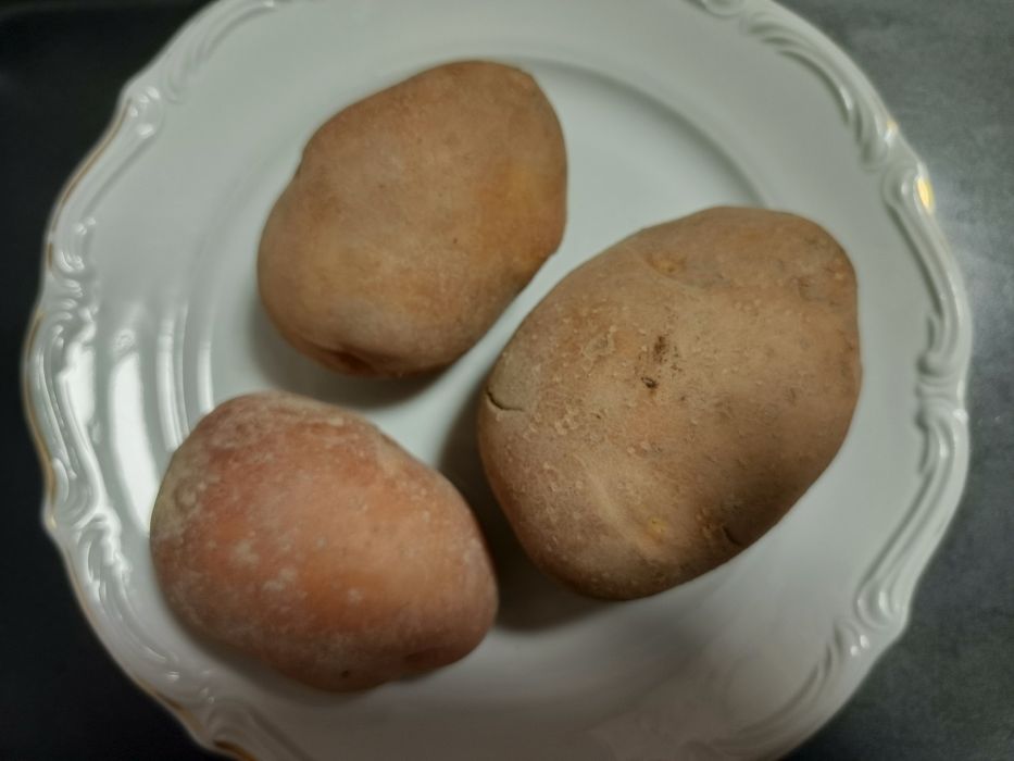 Ziemniaki jadalne Bellarosa.