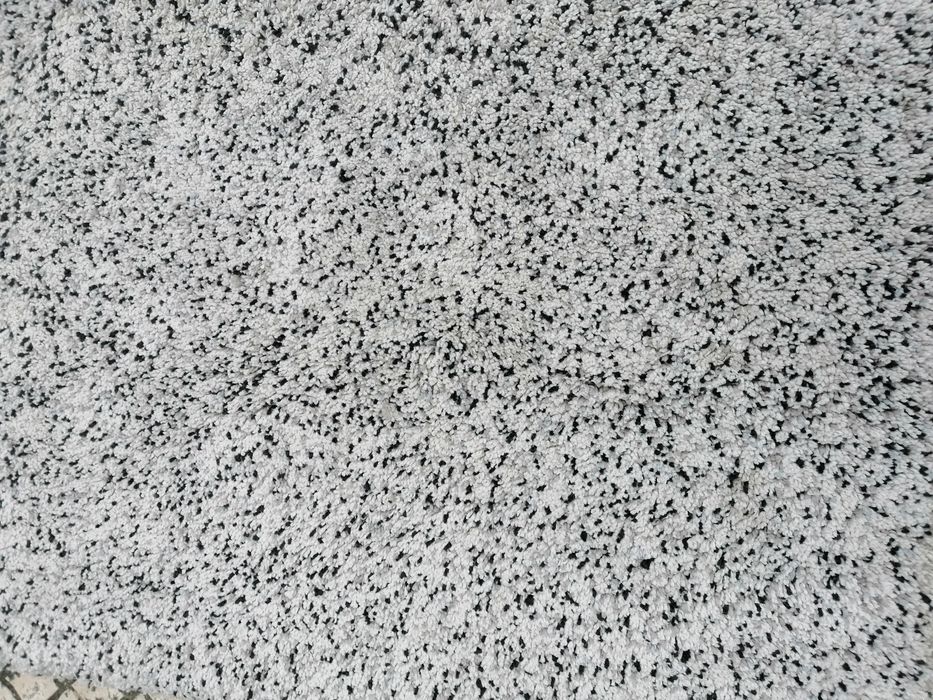 Carpete em bom estado