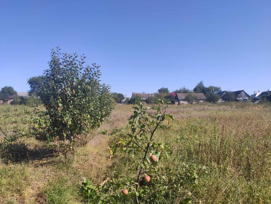 Продається господарство в центрі Котельва