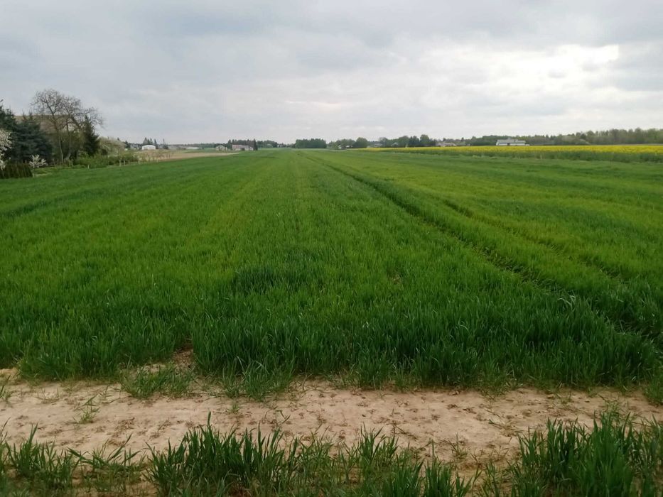 Sprzedam działkę budowlaną - Więcej